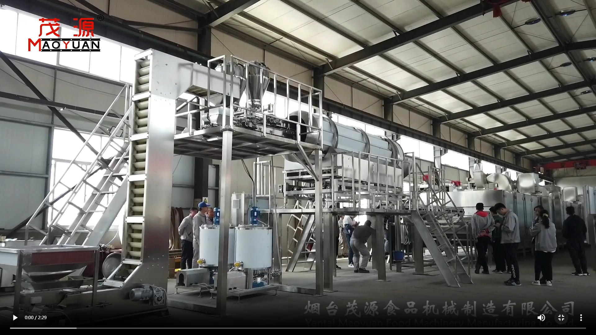 調(diào)味果仁烘烤生產(chǎn)線