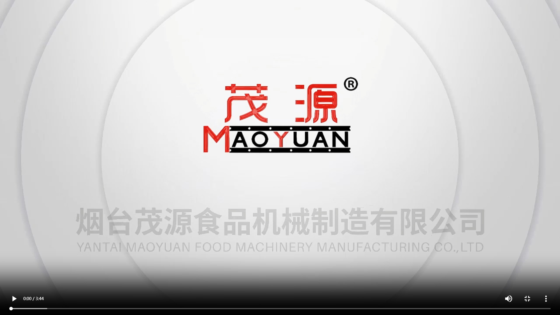 調(diào)味核桃花生生產(chǎn)線