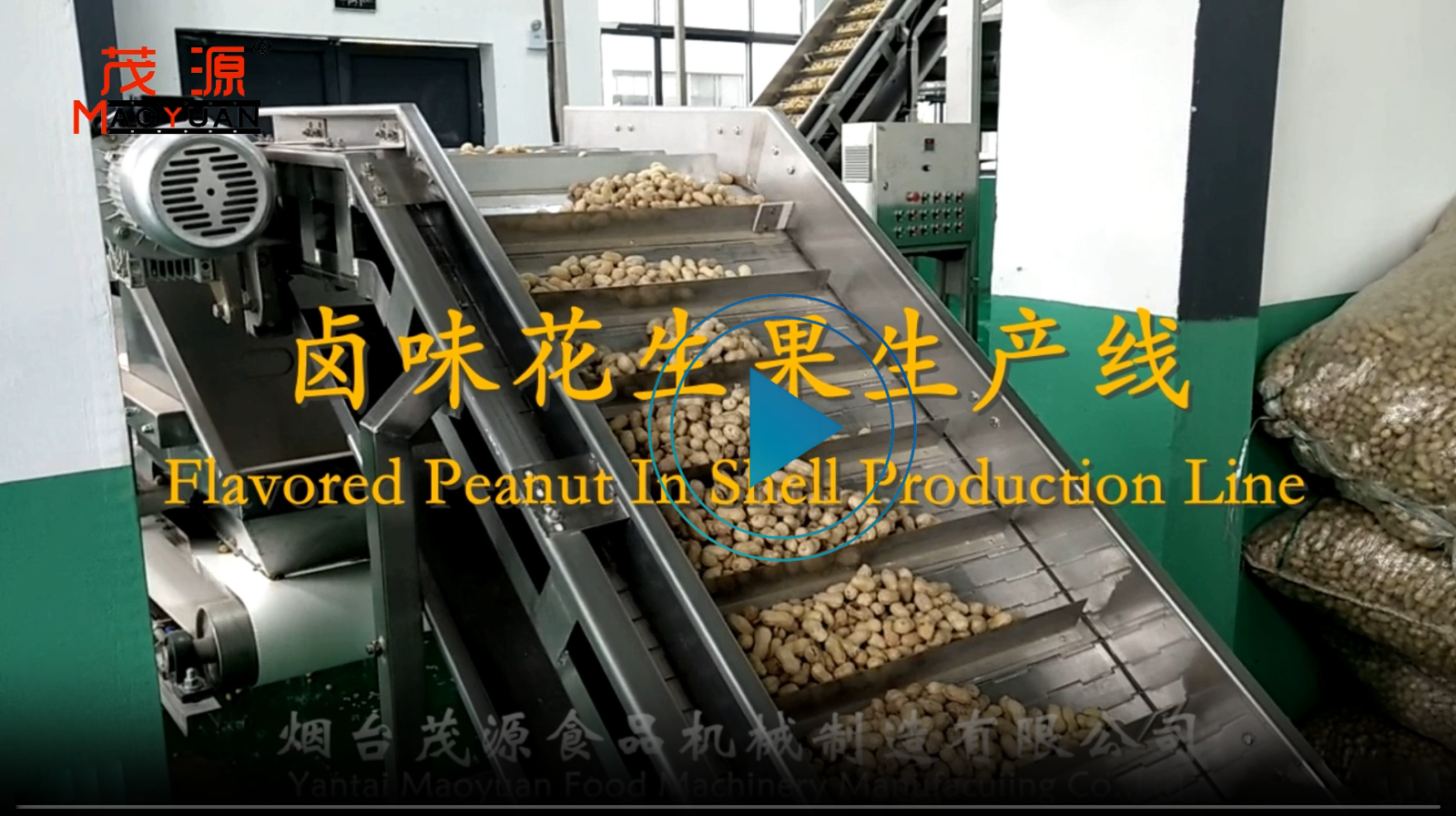鹵味花生果生產(chǎn)線